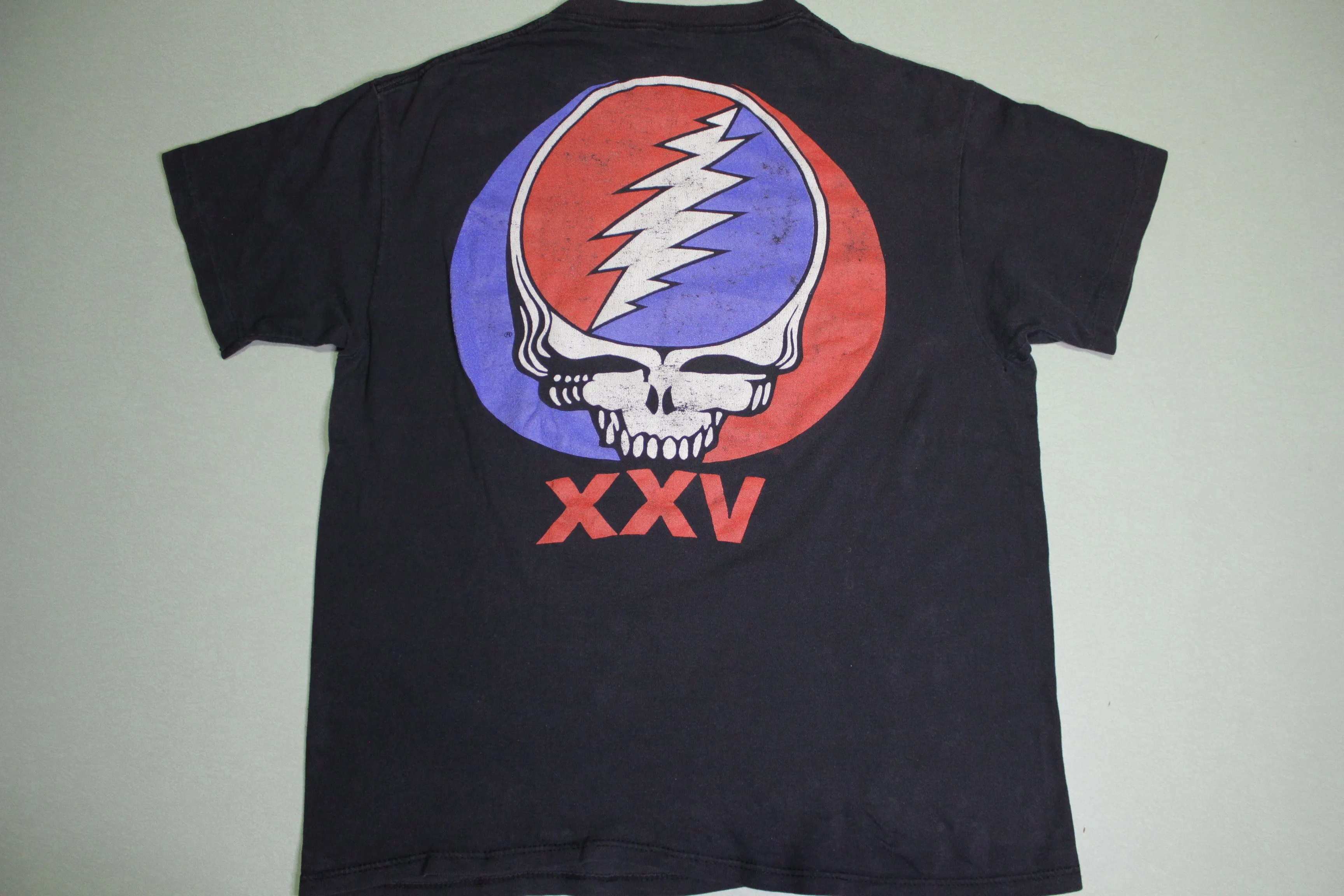 Grateful Dead American Beauty Vintage 1990 XXV 25 Year Anniversary Brockum T-Shirt