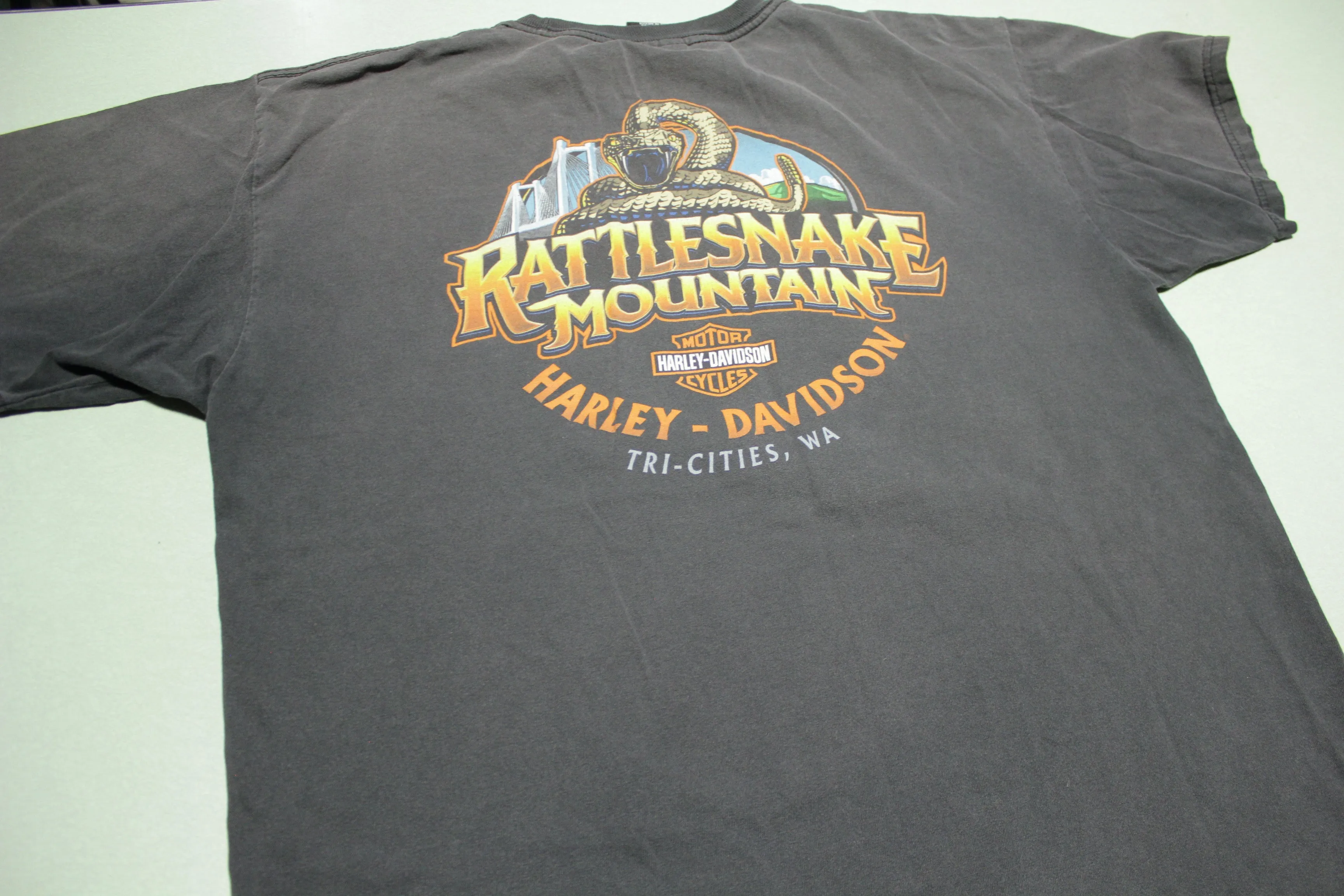 Harley Davidson Rattlesnake Mountain Motorcycles Faded Black Biker T-Shirt