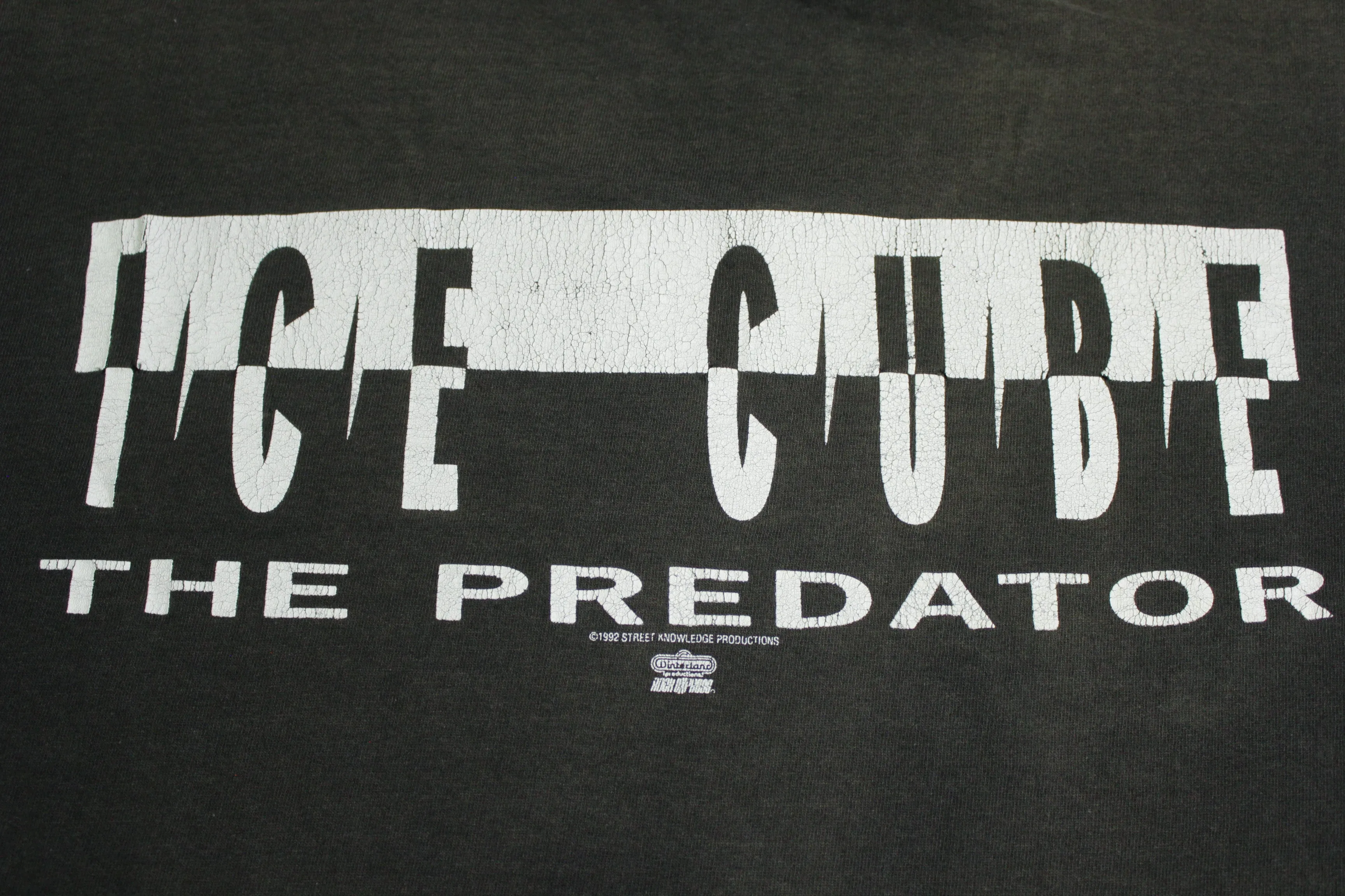 Ice Cube The Predator 1992 Winterland Rock Express  Vintage 90's Distressed Rap T-Shirt