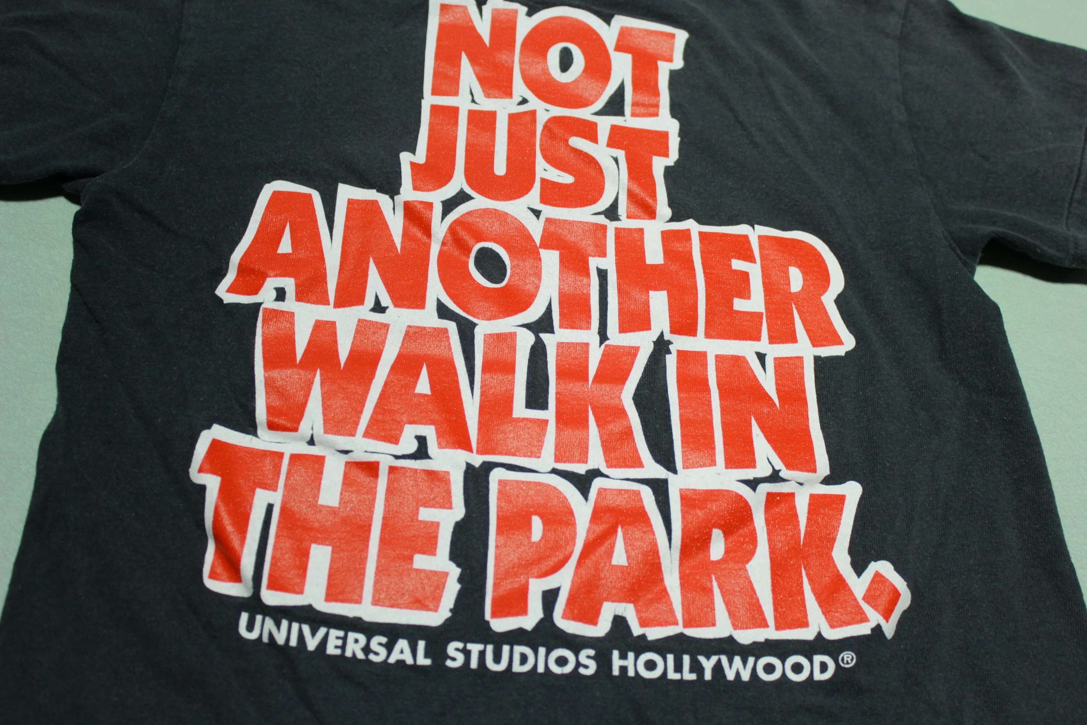 Jurassic Park Ride Vintage Universal Studios Single Stitch T-Shirt