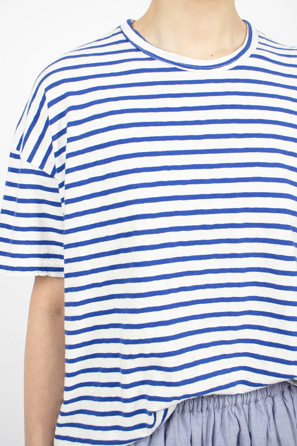 Knit Stripe T-Shirt White/Royal